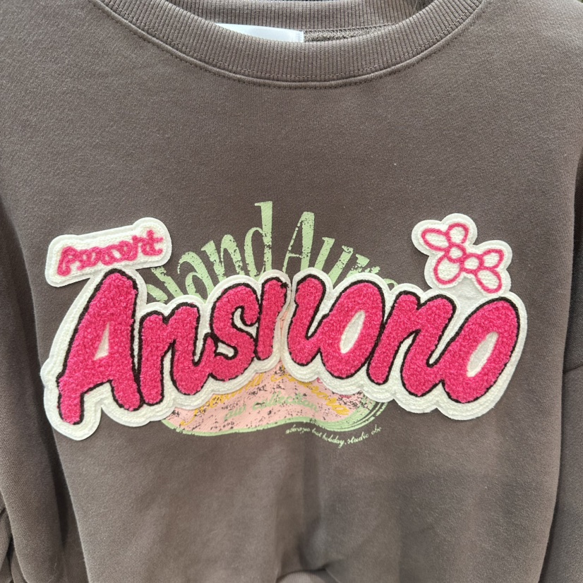 ANNA-P東大門㊣直郵女裝新品時尚推薦25秋冬真品熱賣衛衣加絨ANNA-P衛衣