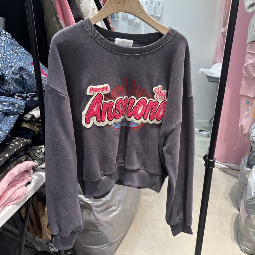 ANNA-P東大門㊣直郵女裝新品時尚推薦25秋冬真品熱賣衛衣加絨ANNA-P衛衣圖色2