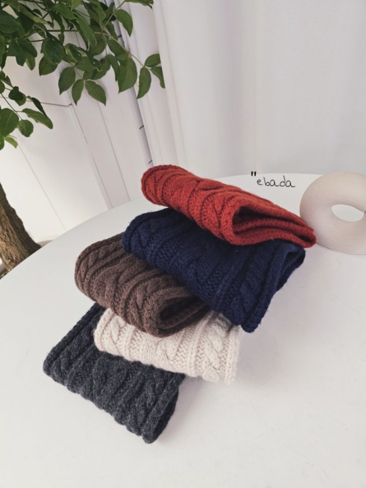 EBADA東大門㊣代購女士新品職業推薦25秋冬人氣時尚圍巾披肩EBADA圍巾/披肩