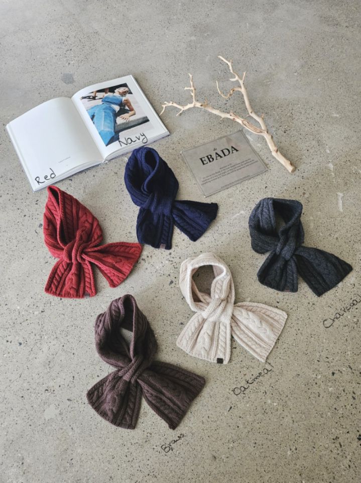 EBADA東大門㊣代購女士新品職業推薦25秋冬人氣時尚圍巾披肩EBADA圍巾/披肩