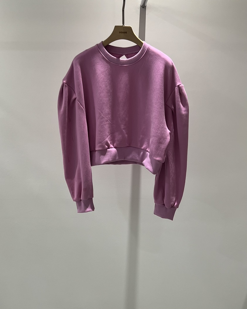 DENISE韓國直郵㊣女裝新品時尚25秋冬人氣真品推薦職業衛衣DENISE衛衣圖色1