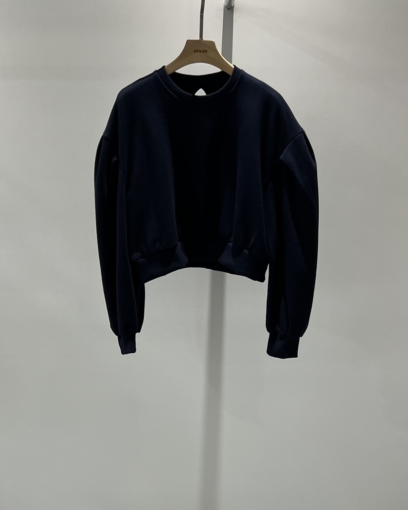 DENISE韓國直郵㊣女裝新品時尚25秋冬人氣真品推薦職業衛衣DENISE衛衣圖色3