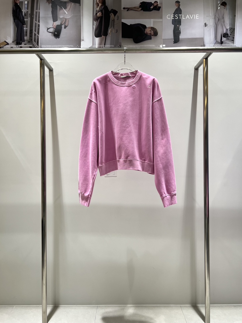 CESTLAVIE東大門㊣直郵女裝新款人氣25秋冬時尚衛衣加絨刺繡CESTLAVIE衛衣圖色1