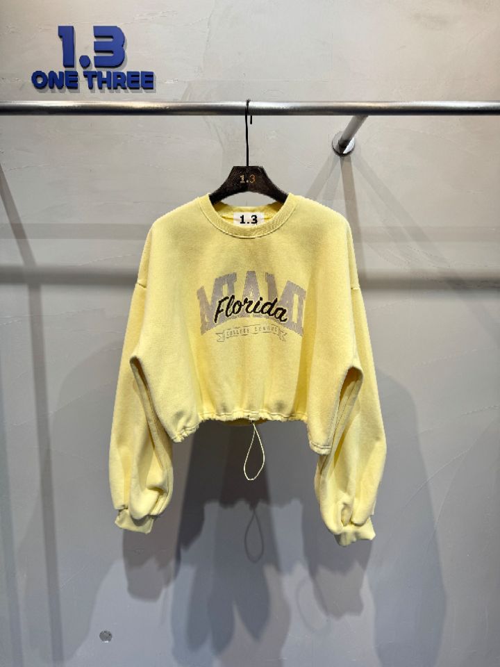 1.3韓國代購㊣女士新品休閑25秋冬職業推薦時尚人氣熱賣衛衣1.3衛衣圖色3