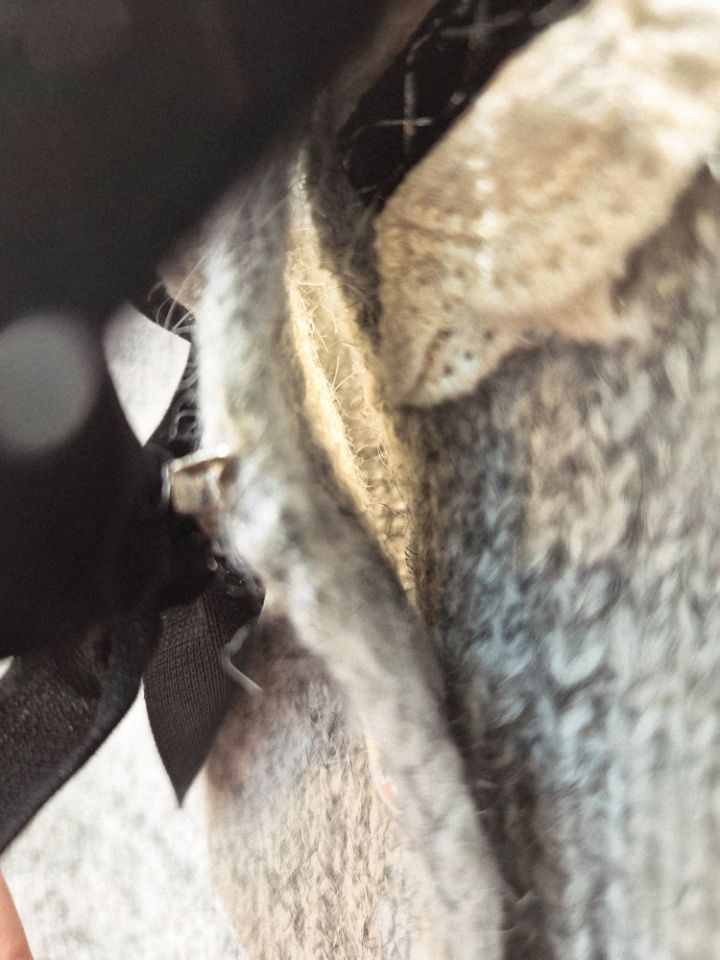 RICO東大門㊣實拍女士新款人氣熱賣職業推薦時尚休閑針織衫RICO/BLING BLING-S針織衫