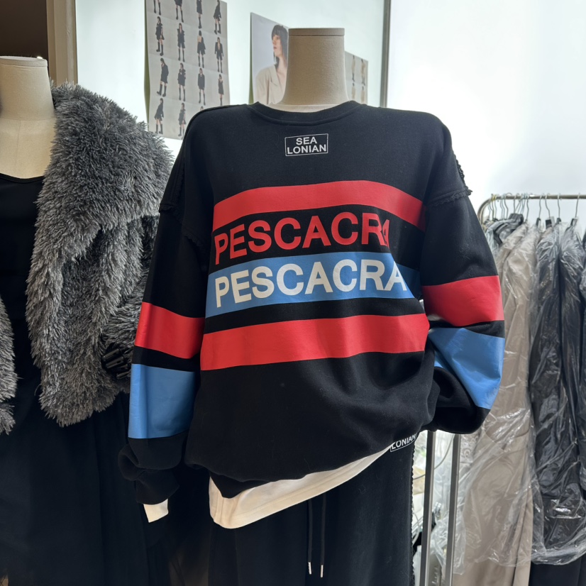 CHEAP-CHIC韓國直郵㊣女士新款職業推薦25秋冬休閑熱賣衛衣CHEAP-CHIC/CHARLES THE SECOND衛衣圖色2