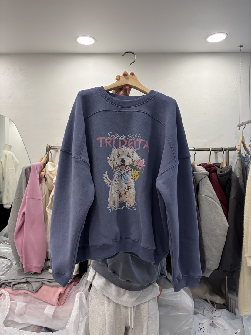 DELICATE東大門㊣代購女士新款真品人氣推薦熱賣時尚25秋冬衛衣DELICATE衛衣圖色2