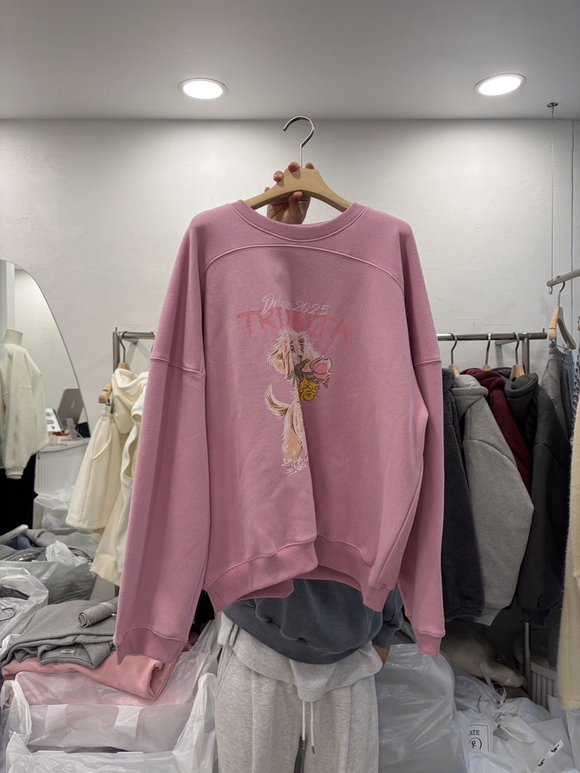 DELICATE東大門㊣代購女士新款真品人氣推薦熱賣時尚25秋冬衛衣DELICATE衛衣圖色3