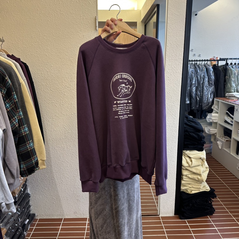 CHOI-L韓國直郵㊣女裝新品時尚25秋冬職業真品衛衣加絨羊毛CHOI衛衣圖色2