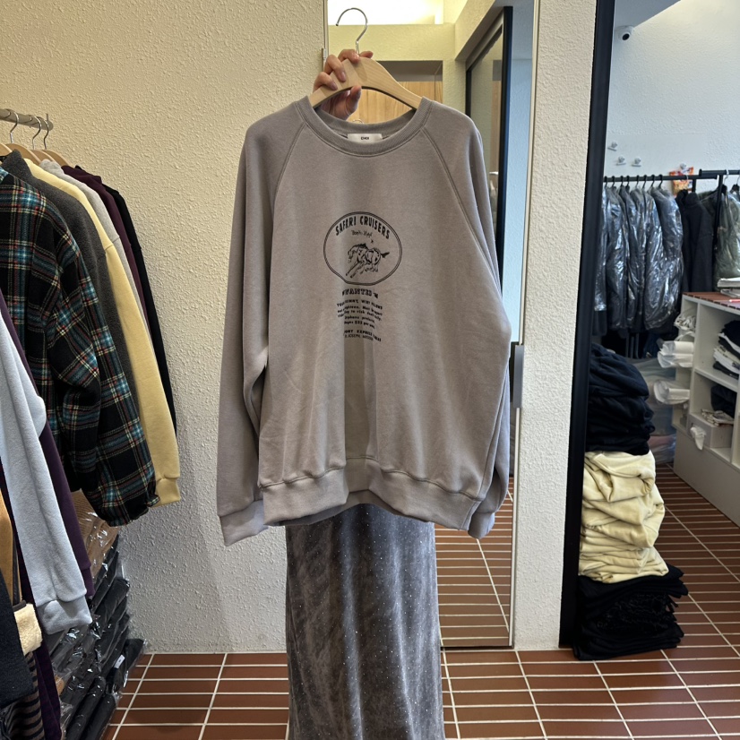 CHOI-L韓國直郵㊣女裝新品時尚25秋冬職業真品衛衣加絨羊毛CHOI衛衣圖色3