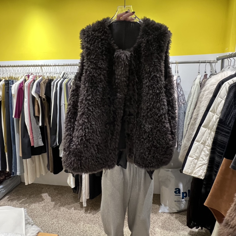 LE MASTERPLACE東大門㊣直郵女士新品推薦時尚馬甲雙面抓絨Le masterpiece馬甲圖色2