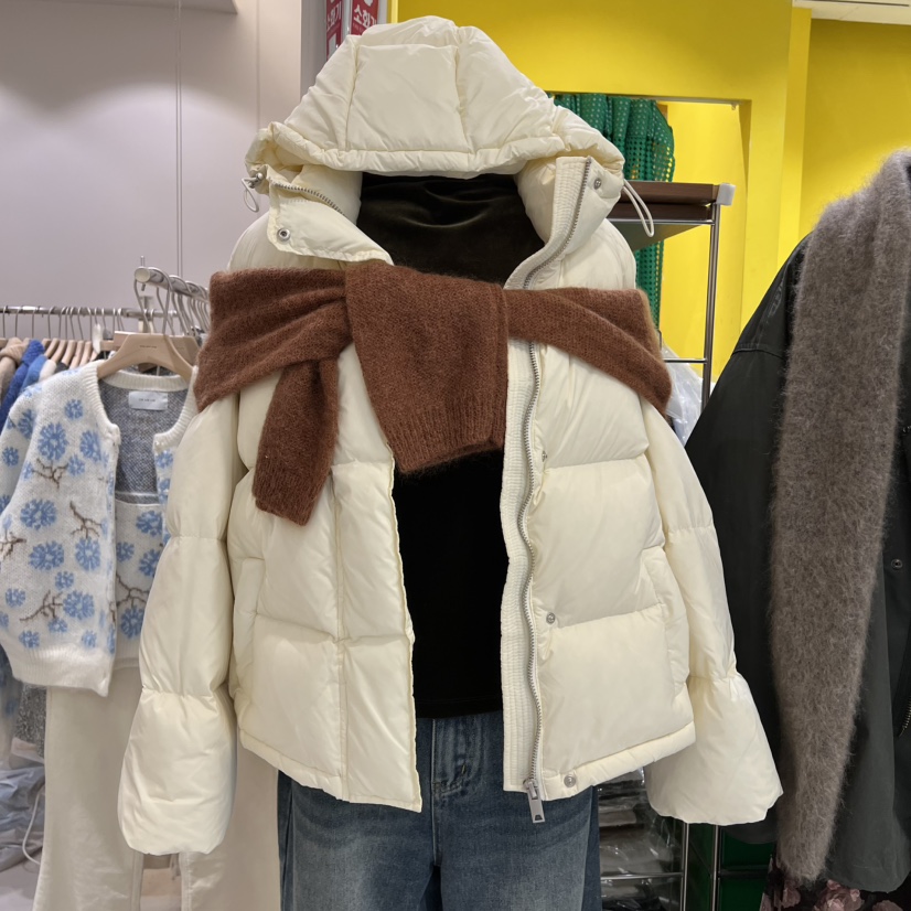 LE MASTERPLACE韓國直郵㊣女裝新款休閑職業短款羽絨服絨鵝Le masterpiece短款羽絨服圖色2