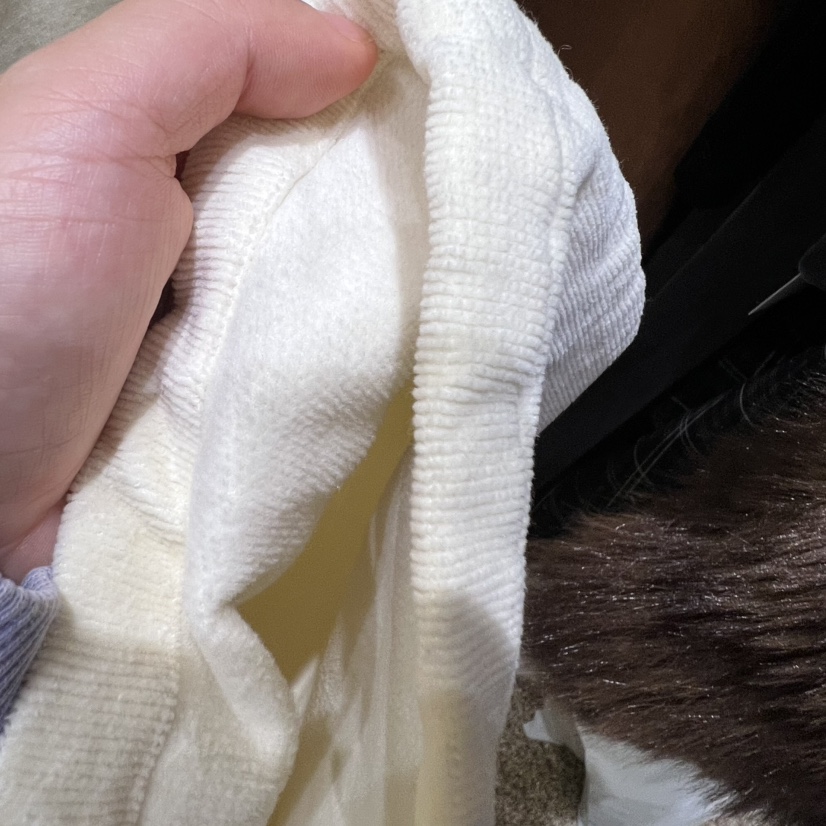 LE MASTERPLACE東大門㊣代購女裝新款熱賣推薦時尚休閑褲羊毛Le masterpiece休閑褲