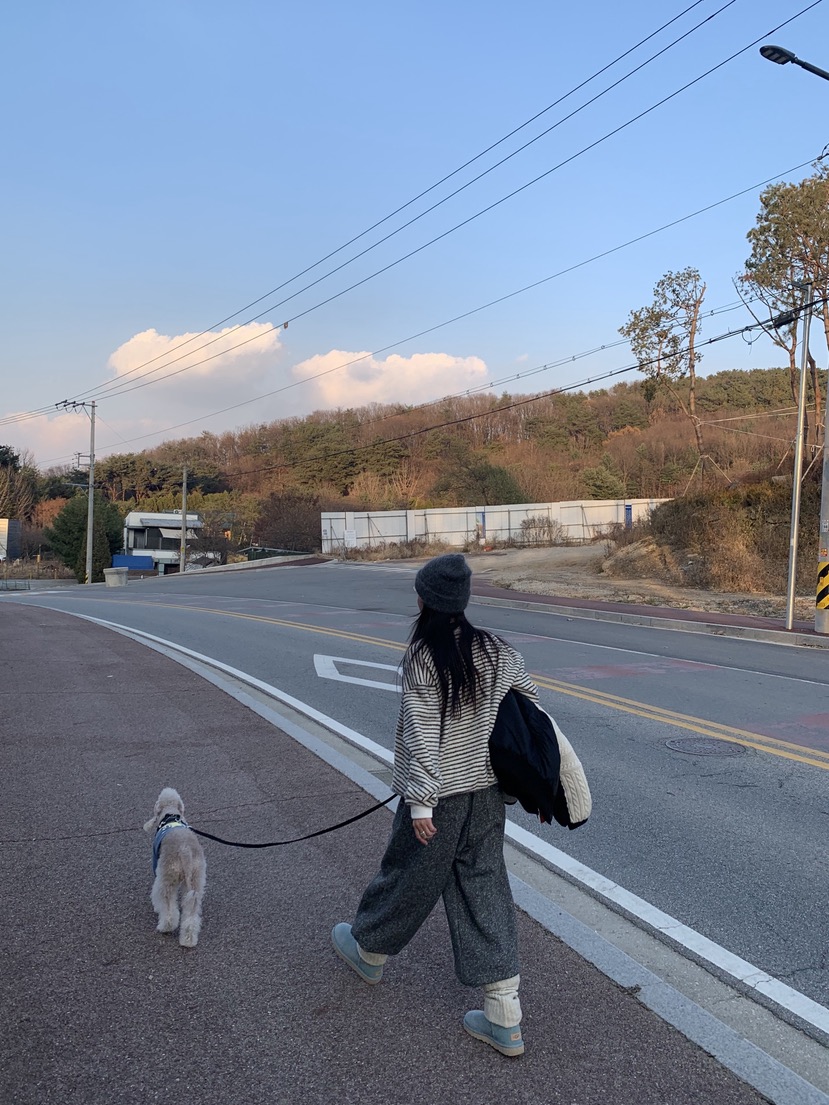 SUNDER MARKET韓國代購㊣女裝新品推薦25秋冬針織衫不含內搭SUNDER MARKET針織衫