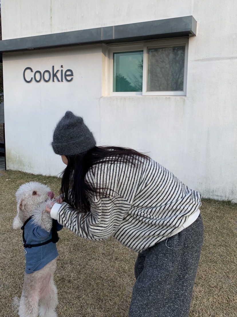 SUNDER MARKET韓國代購㊣女裝新品推薦25秋冬針織衫不含內搭SUNDER MARKET針織衫