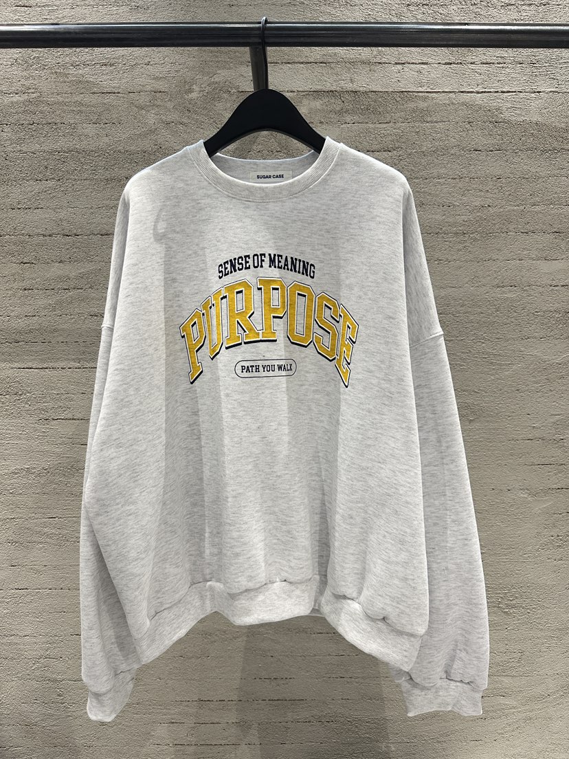 SUGAR CASE韓國直郵㊣女士新品時尚休閑人氣熱賣25秋冬衛衣SUGAR CASE衛衣圖色3