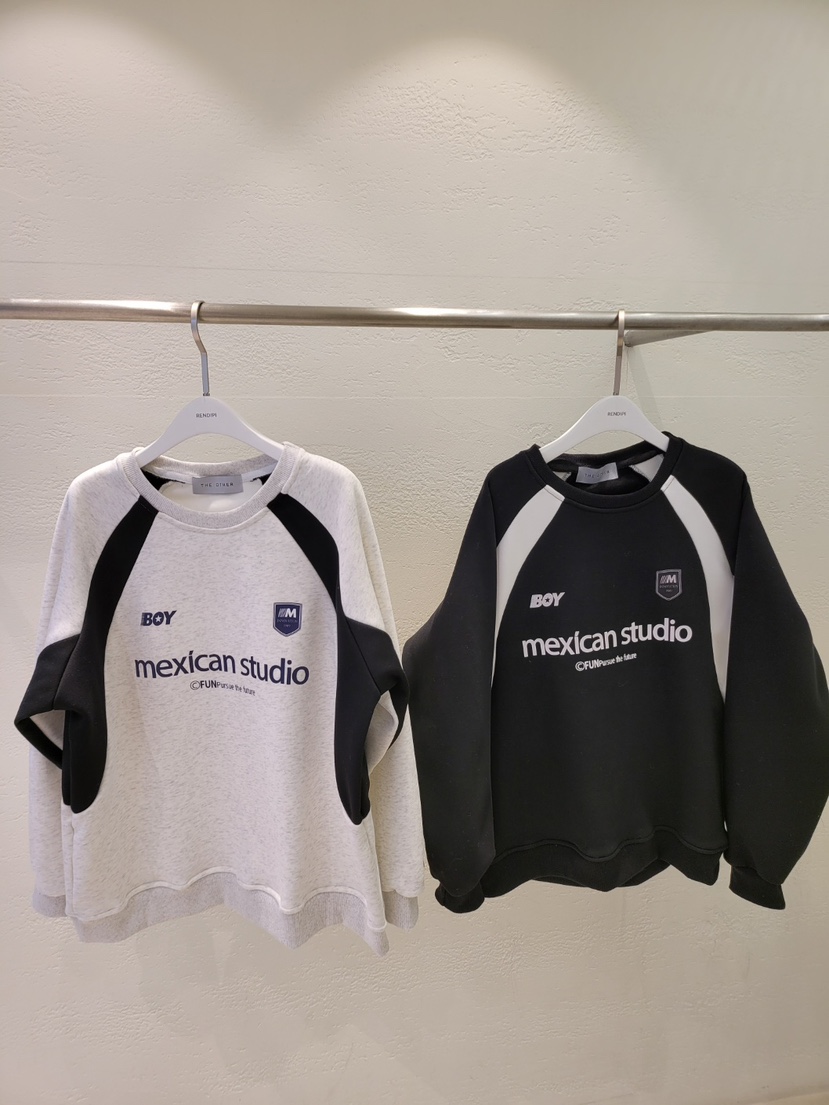 THE OTHER東大門㊣直郵女士新品25秋冬休閑推薦熱賣人氣衛衣THE OTHER衛衣