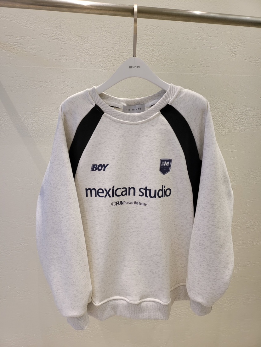 THE OTHER東大門㊣直郵女士新品25秋冬休閑推薦熱賣人氣衛衣THE OTHER衛衣圖色1