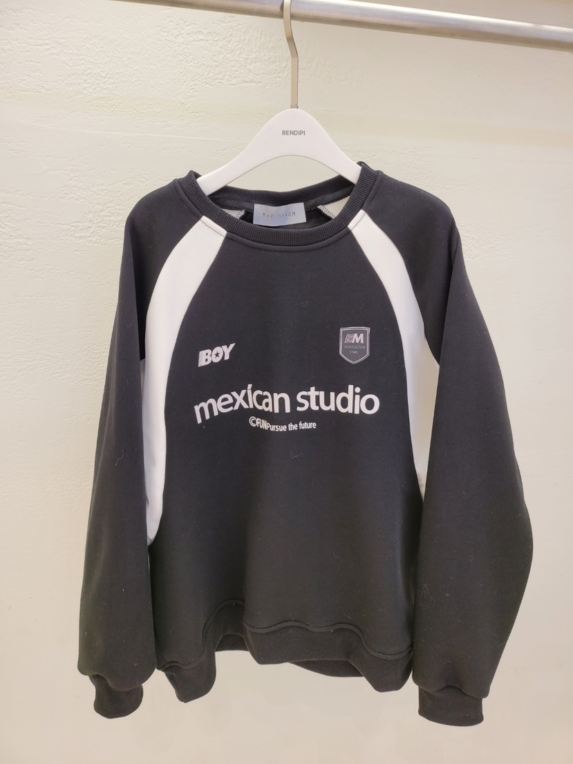 THE OTHER東大門㊣直郵女士新品25秋冬休閑推薦熱賣人氣衛衣THE OTHER衛衣圖色2