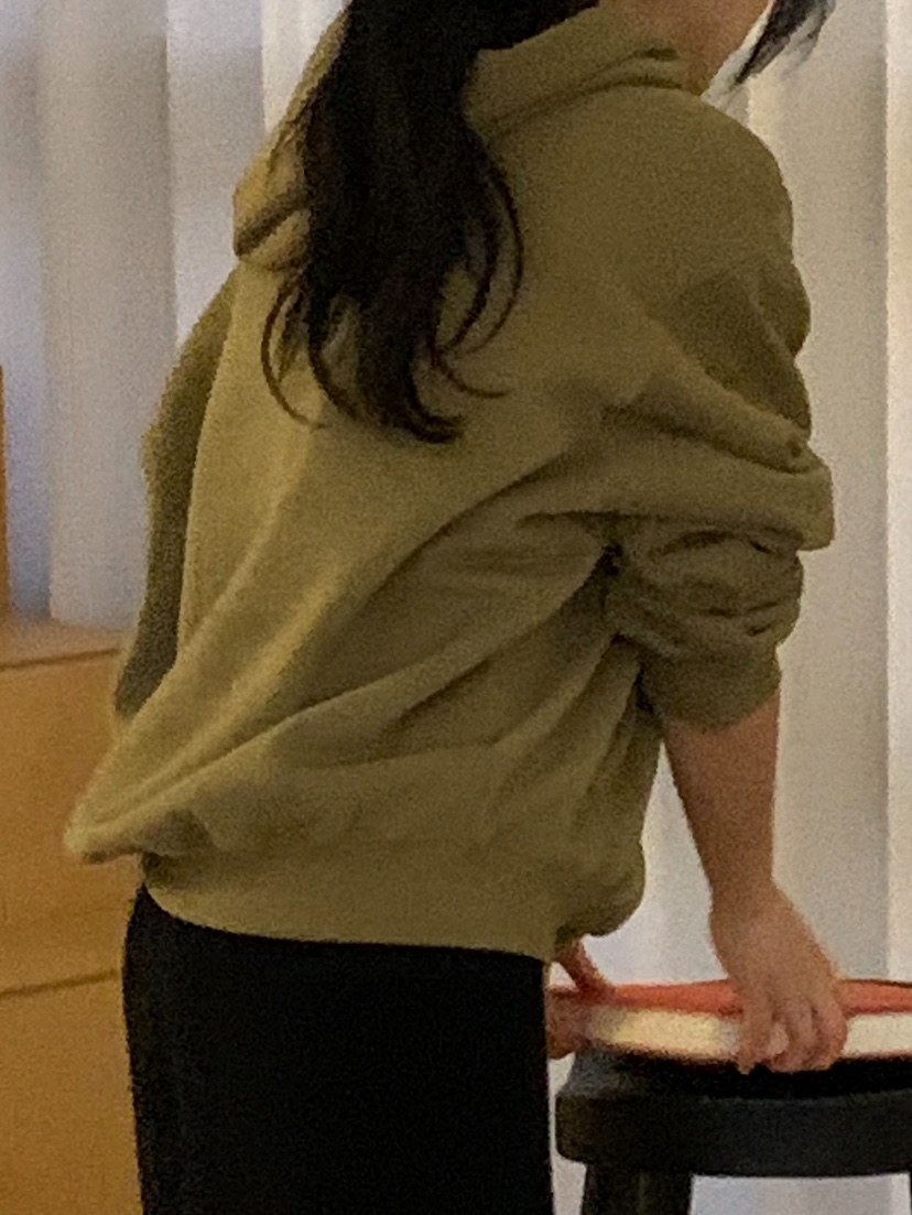 REGULARLY/PLACOR韓國直郵㊣女裝新款職業時尚推薦衛衣加絨REGULARLY/PLACOR衛衣