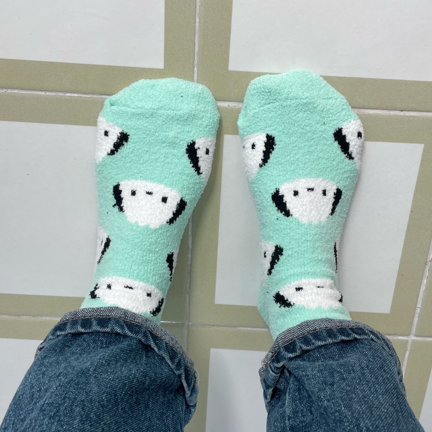 CACTUS-Q東大門㊣直郵女士新品職業25秋冬休閑推薦時尚襪子CACTUS十雙起/可混搭襪子圖色4