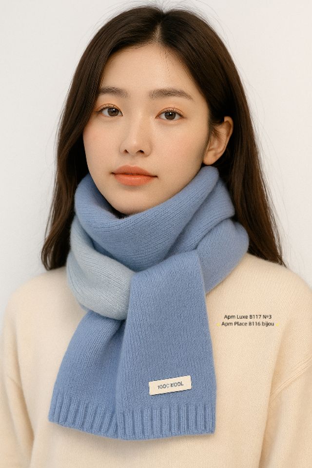 N3韓國直郵㊣女裝新款25秋冬職業休閑推薦人氣時尚圍巾披肩N3圍巾/披肩