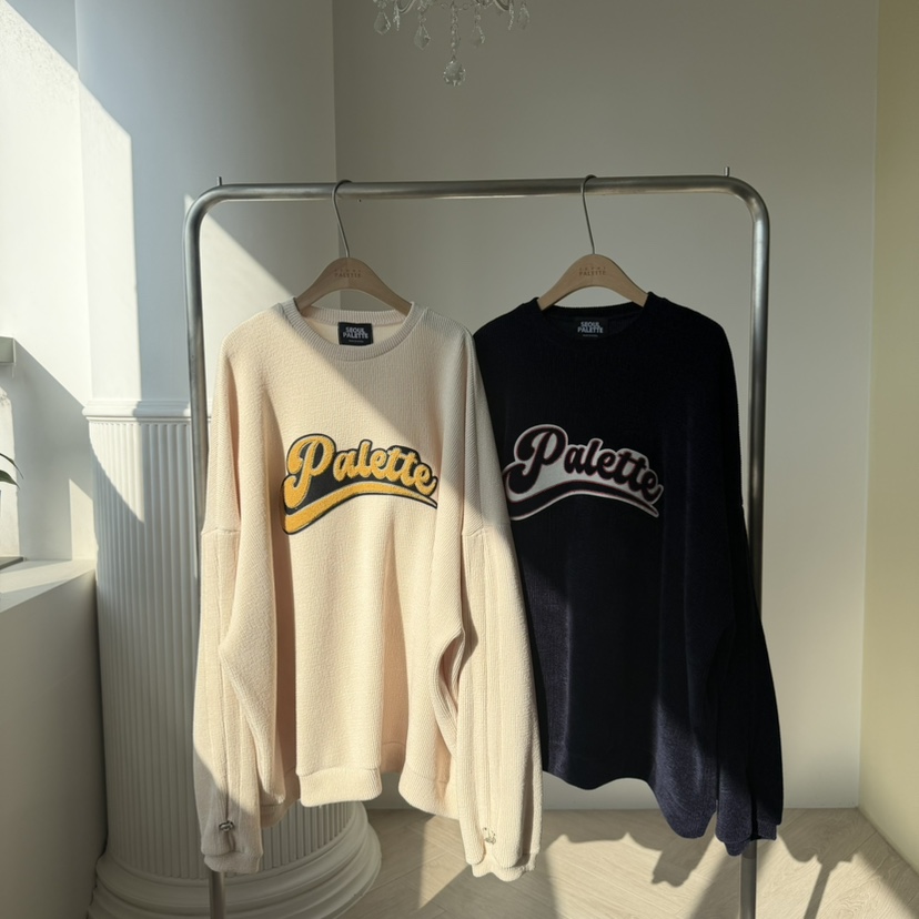 PALETTE-Q東大門㊣實拍女士新品人氣休閑熱賣25秋冬職業衛衣PALETTE-Q衛衣