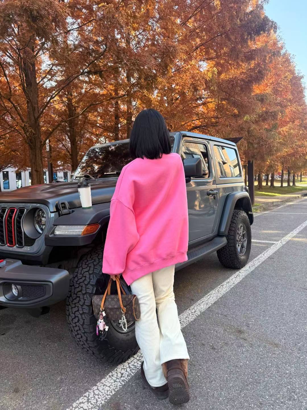 BCLOTHES-비클로스-T東大門㊣直郵女裝新款真品25秋冬衛衣B'CLOTHES衛衣