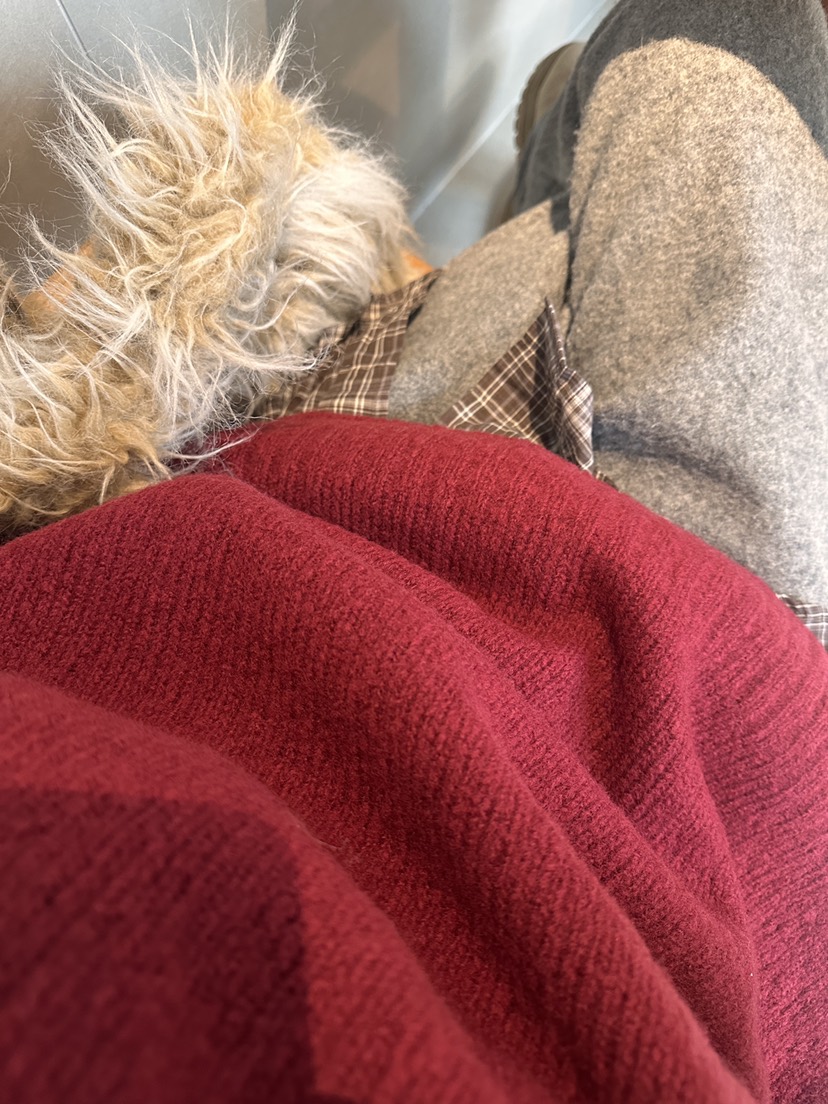 CURVY韓國代購㊣女士新款時尚推薦休閑職業25秋冬休閑褲羊毛CURVY休閑褲