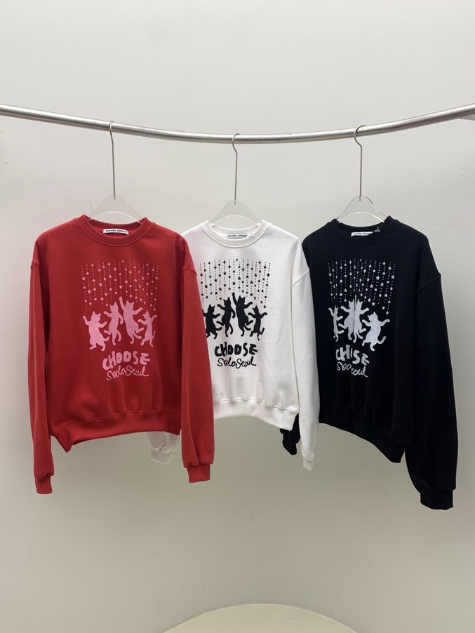 SEOLO韓國直郵㊣女裝新款25秋冬職業人氣熱賣推薦休閑時尚衛衣Seolo seoul衛衣