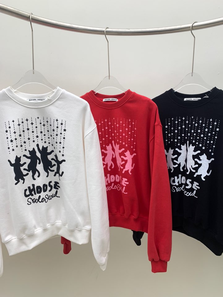 SEOLO韓國直郵㊣女裝新款25秋冬職業人氣熱賣推薦休閑時尚衛衣Seolo seoul衛衣