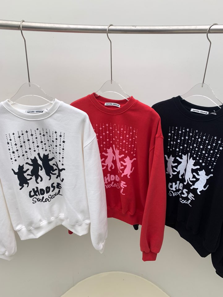 SEOLO韓國直郵㊣女裝新款25秋冬職業人氣熱賣推薦休閑時尚衛衣Seolo seoul衛衣