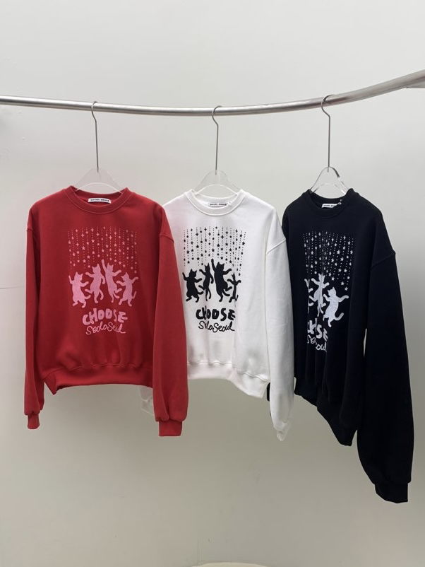 SEOLO韓國直郵㊣女裝新款25秋冬職業人氣熱賣推薦休閑時尚衛衣Seolo seoul衛衣