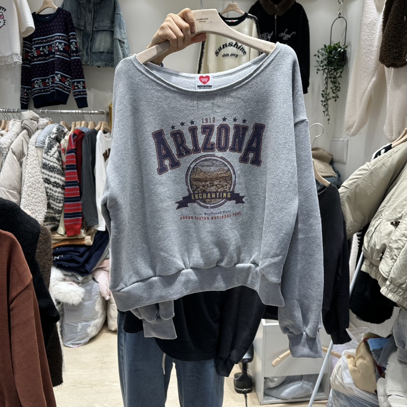 UNDERSTAR_VINTAGE東大門㊣直郵女士新款職業真品推薦25秋冬衛衣UNDERSTAR_VINTAGE衛衣圖色2