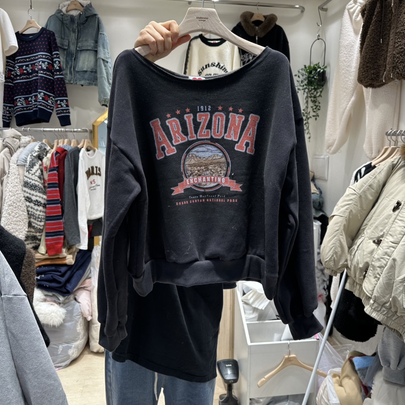 UNDERSTAR_VINTAGE東大門㊣直郵女士新款職業真品推薦25秋冬衛衣UNDERSTAR_VINTAGE衛衣圖色3