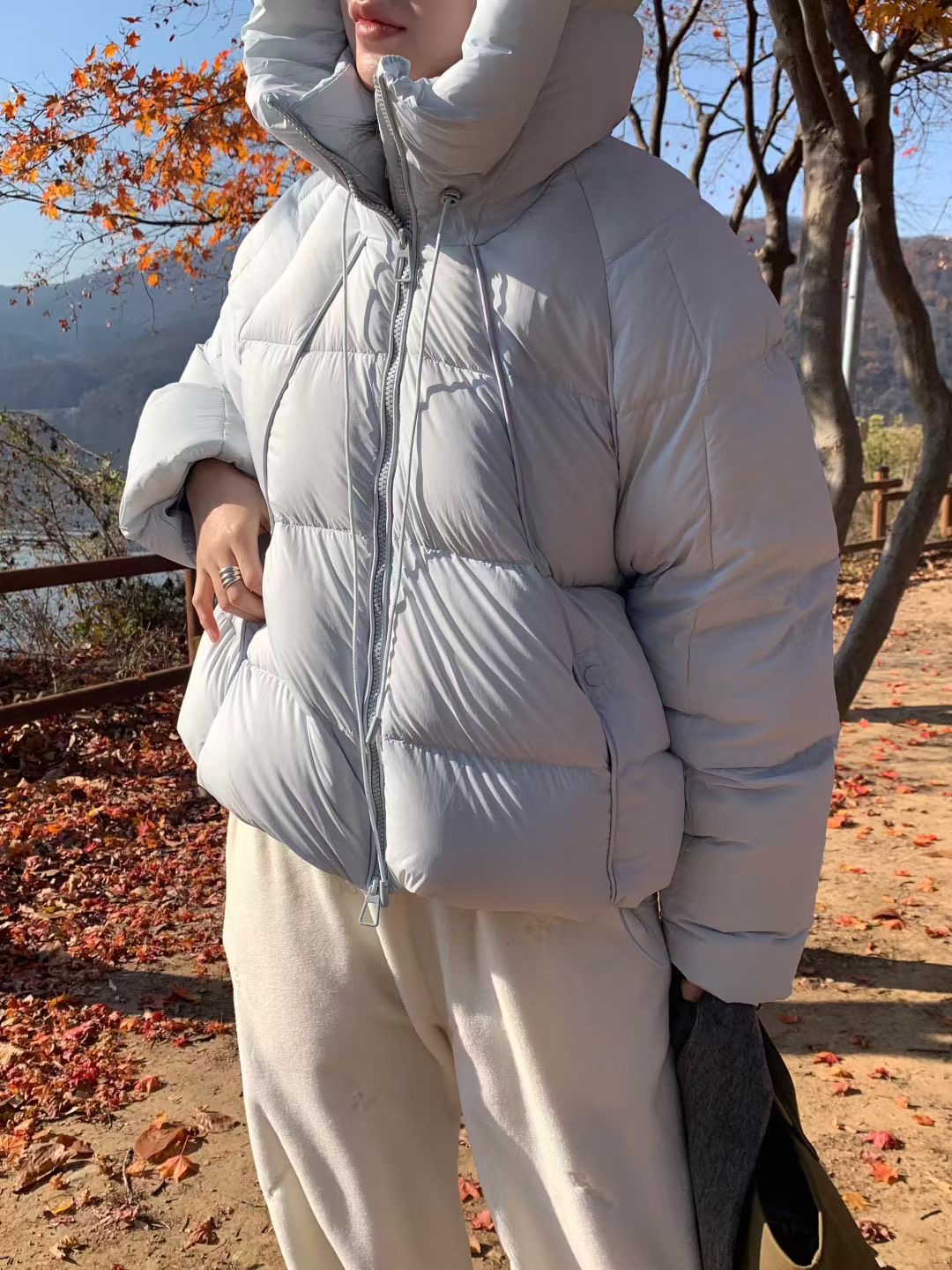 SIGNATURE韓國直郵㊣女士新款推薦25秋冬職業休閑熱賣短款棉服SIGNATURE短款棉服圖色3