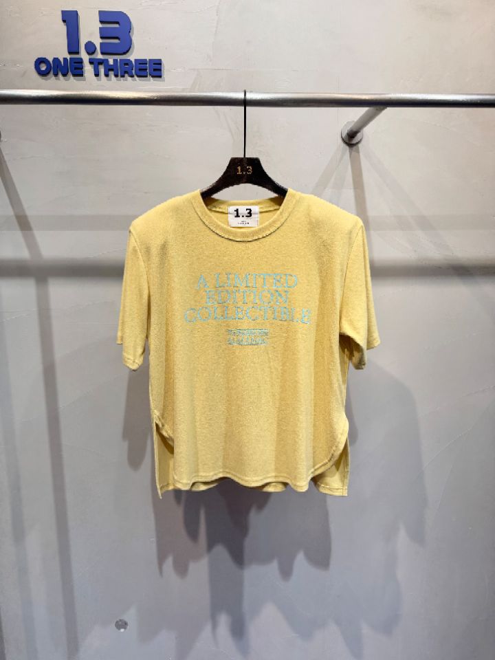 1.3東大門㊣代購女裝新款真品推薦人氣休閑熱賣25秋冬時尚T恤1.3T恤圖色3