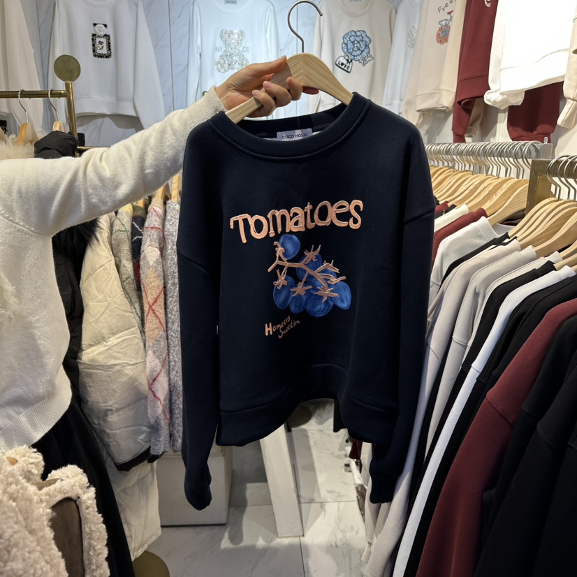 COCO HOLIC韓國直郵㊣女裝新款休閑25秋冬推薦人氣衛衣加絨COCO HOLIC衛衣圖色4