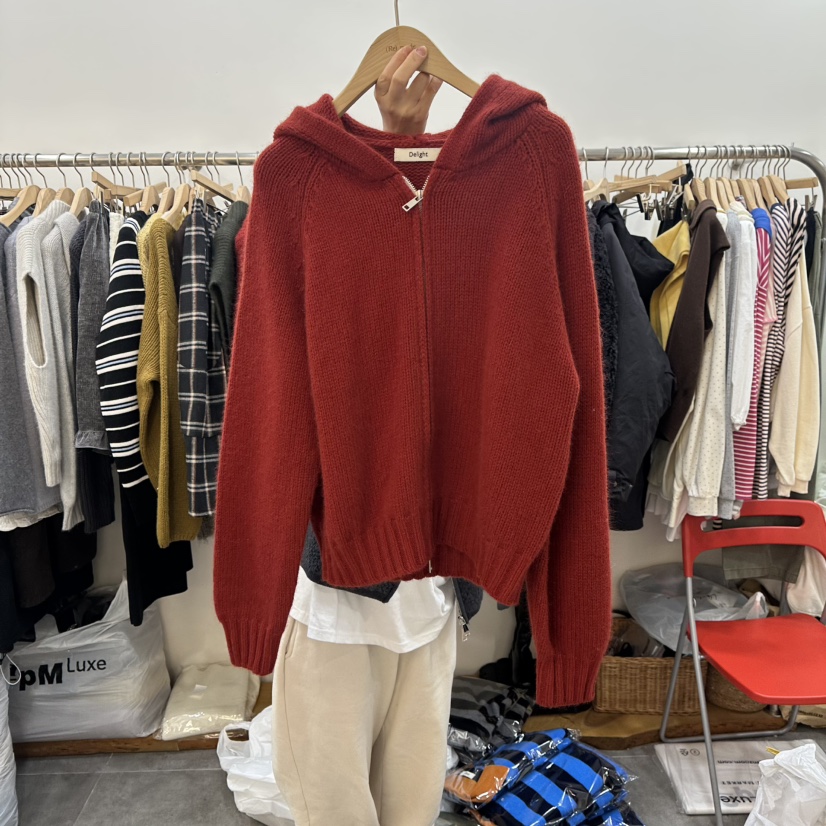 DELIGHT-L韓國直郵㊣女裝新品職業時尚真品毛衣拉鏈浣熊連帽DELIGHT-L毛衣圖色3