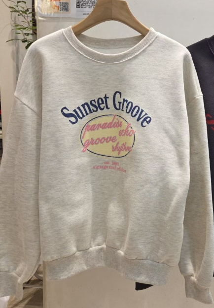 JAMES 제임스韓國直郵㊣女士新品真品職業25秋冬休閑衛衣加絨JAMES衛衣圖色1