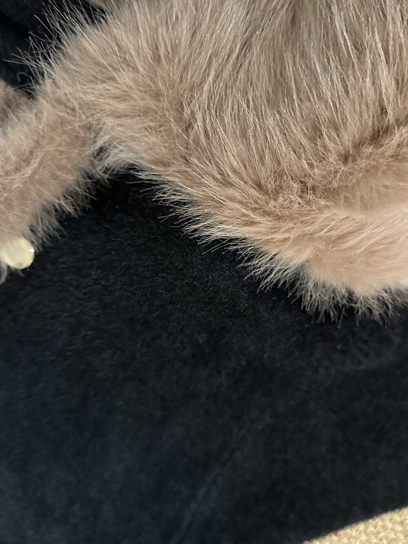 OLA韓國直郵㊣女士新品真品職業時尚25秋冬推薦人氣熱賣夾克mellor/OLA夾克