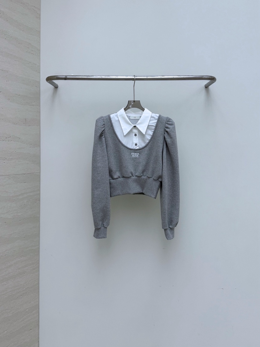 AB㊣東大門代購女士新款人氣真品休閑時尚26春夏推薦職業衛衣AB衛衣圖色2