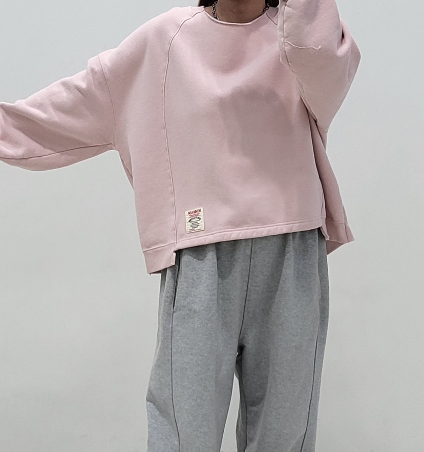 ZACCU韓國直郵㊣女士新品人氣熱賣26春夏時尚休閑職業真品衛衣ZACCU衛衣