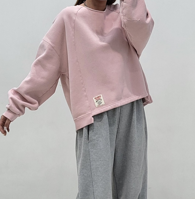 ZACCU韓國直郵㊣女士新品人氣熱賣26春夏時尚休閑職業真品衛衣ZACCU衛衣