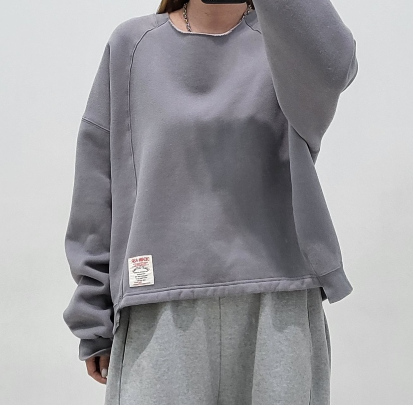 ZACCU韓國直郵㊣女士新品人氣熱賣26春夏時尚休閑職業真品衛衣ZACCU衛衣