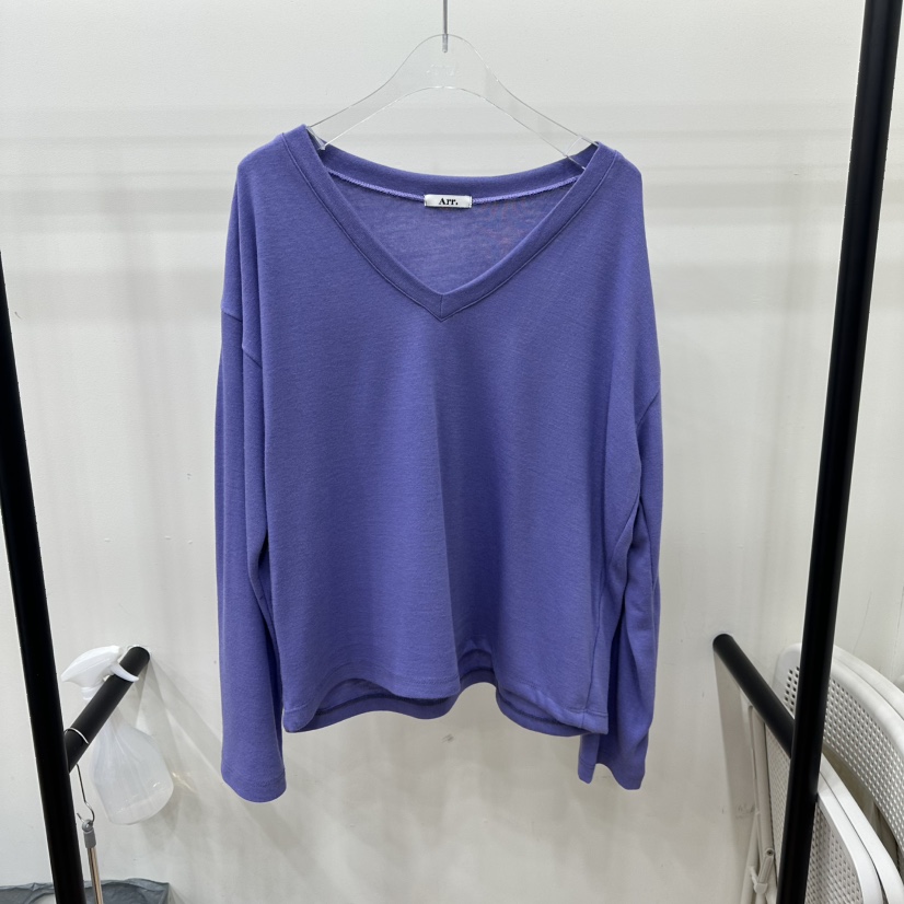 ARR韓國直郵女裝新款25秋冬休閑職業人氣時尚長袖T恤春款ARR長袖T恤圖色1