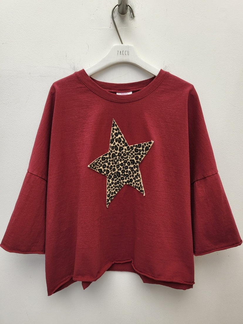 ZACCU韓國直郵女士新品26春季時尚熱賣職業休閑人氣推薦T恤ZACCUT恤圖色2