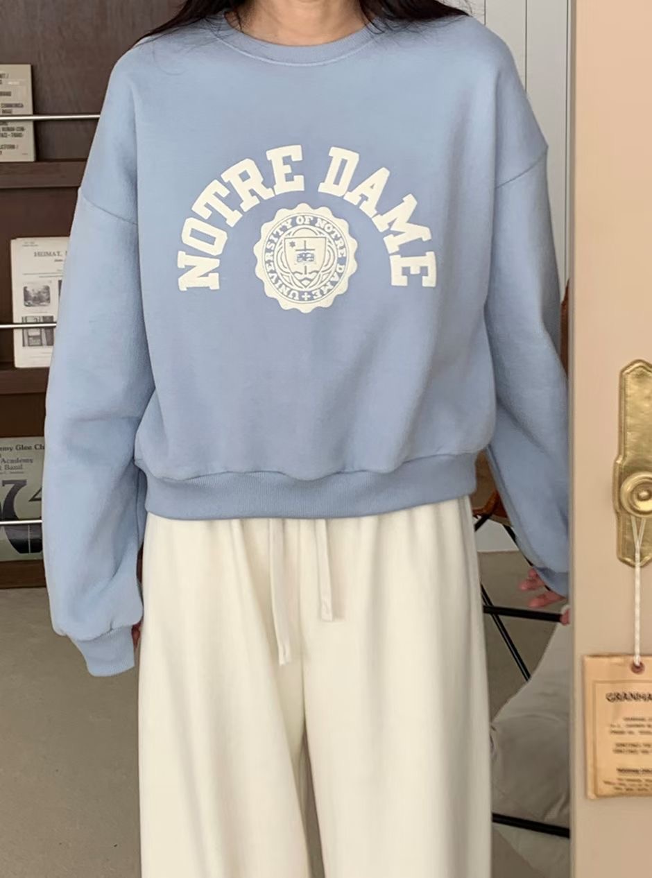 BLUSHER東大門實拍女士新款推薦26春夏熱賣時尚人氣職業衛衣BLUSHER衛衣圖色1