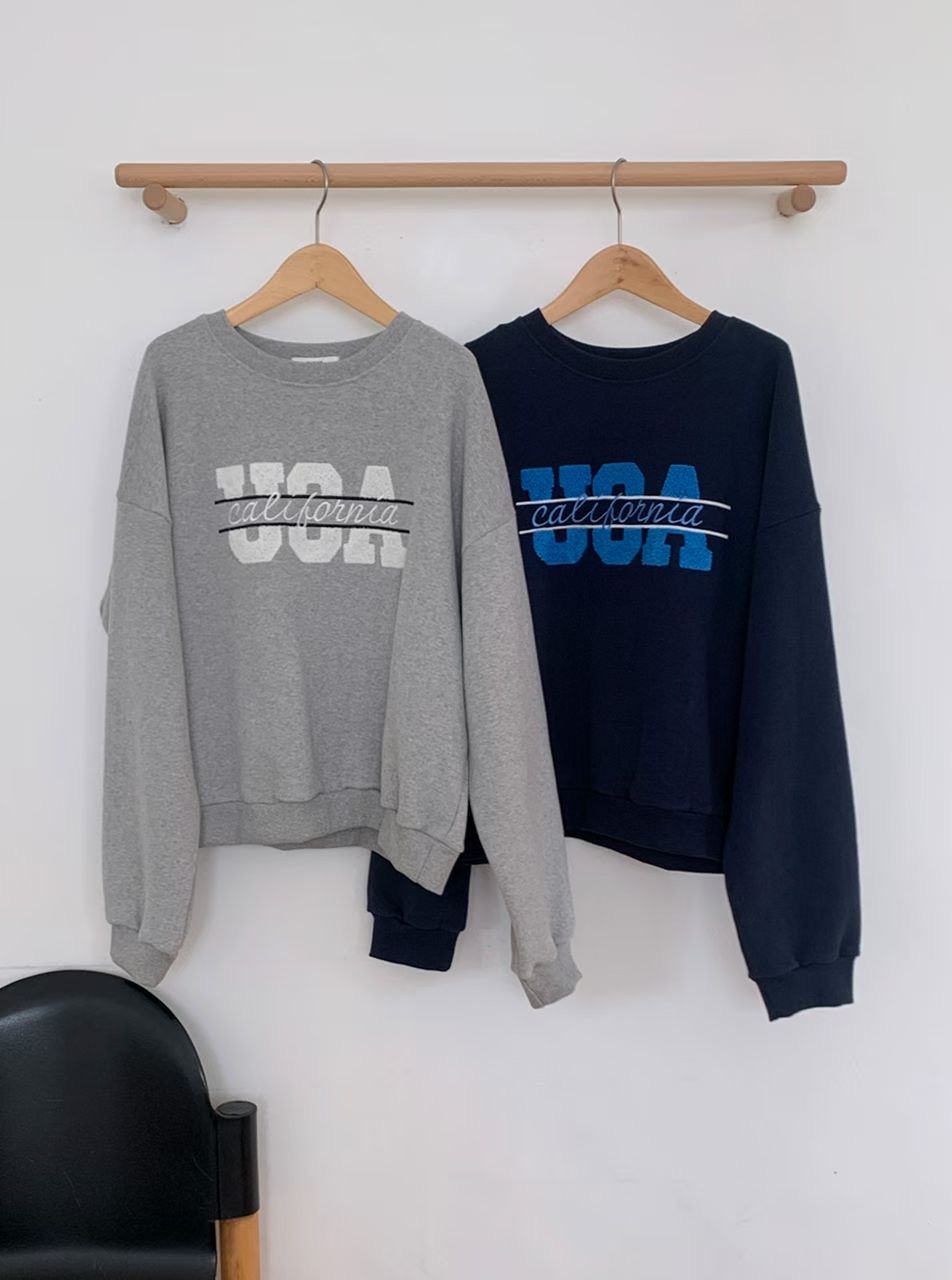 BLUSHER韓國直郵女士新款人氣推薦熱賣休閑職業真品26春夏衛衣BLUSHER衛衣