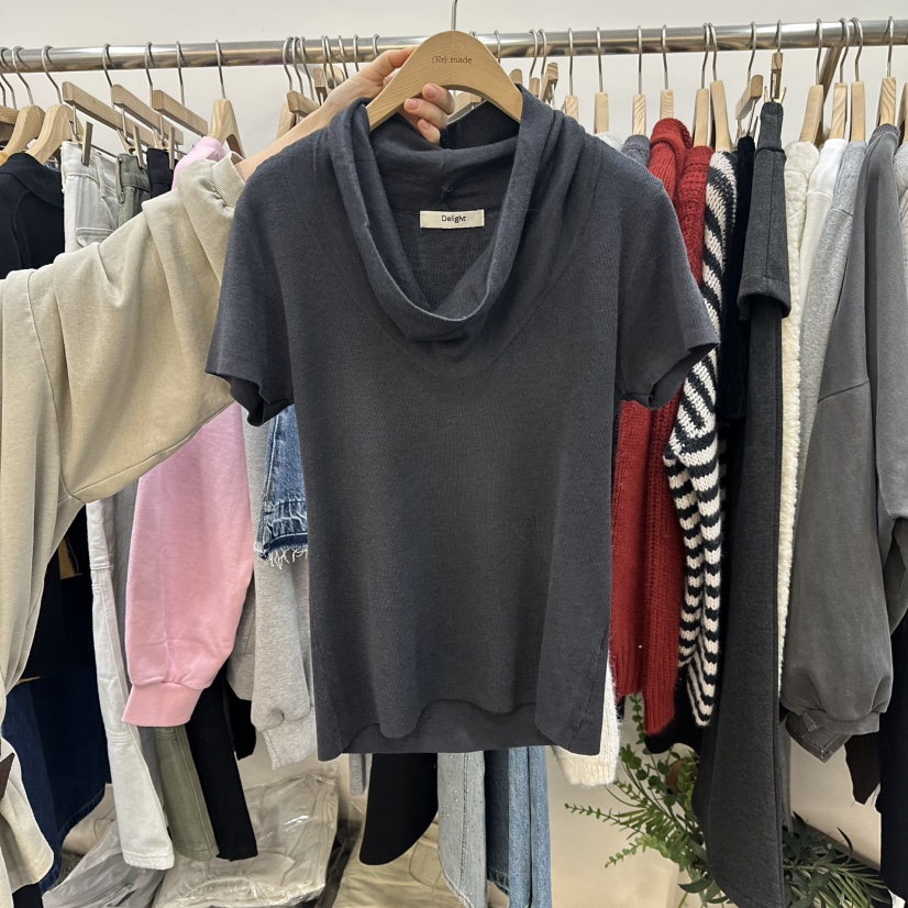 DELIGHT-L韓國直郵女士新品休閑26春夏職業時尚真品T恤高領DELIGHT-LT恤圖色2